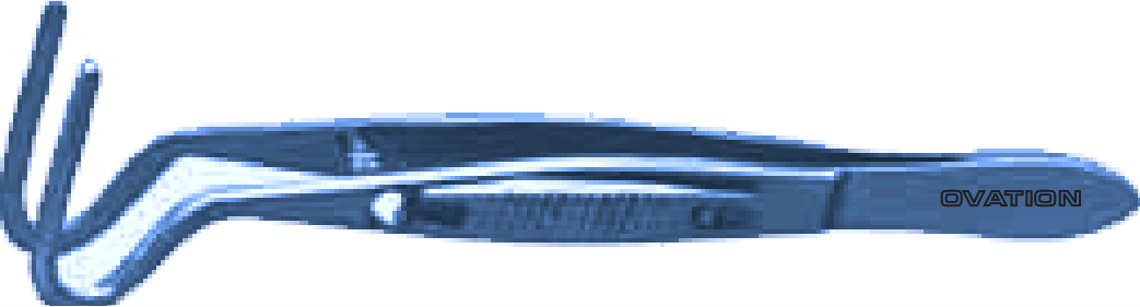 Berke Ptosis Forceps